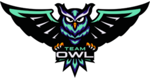 Team by_owl